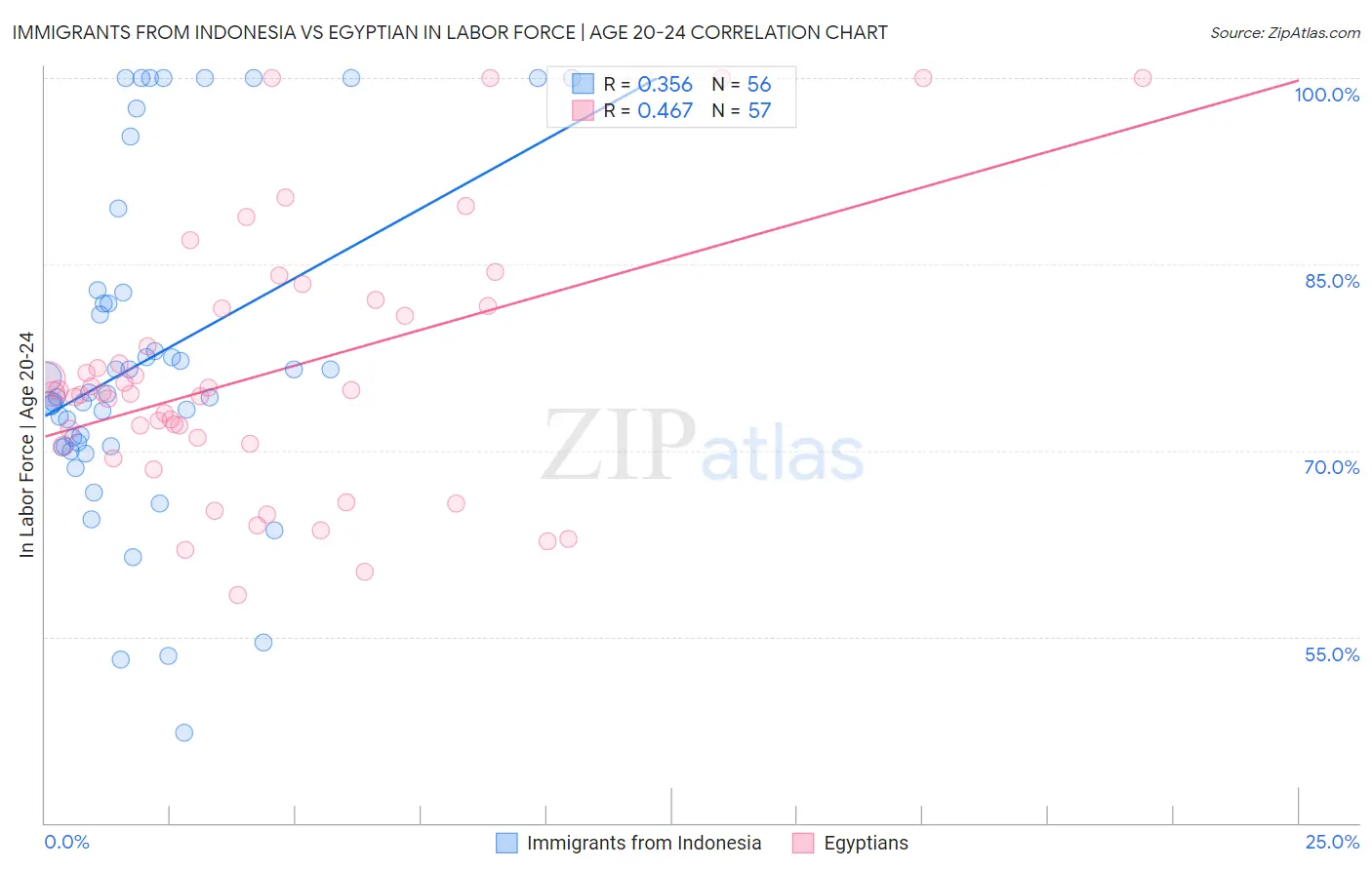 Immigrants from Indonesia vs Egyptian In Labor Force | Age 20-24