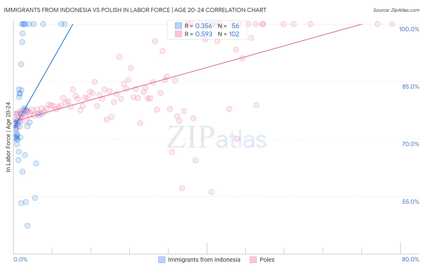 Immigrants from Indonesia vs Polish In Labor Force | Age 20-24