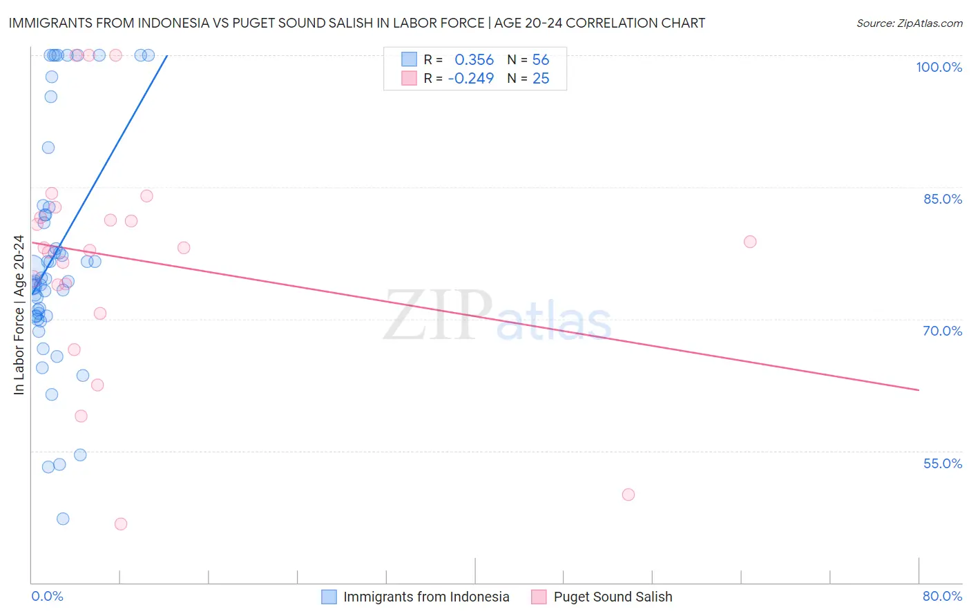 Immigrants from Indonesia vs Puget Sound Salish In Labor Force | Age 20-24