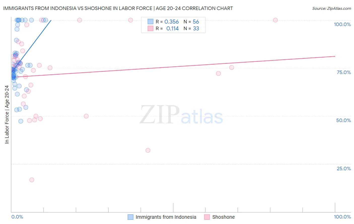 Immigrants from Indonesia vs Shoshone In Labor Force | Age 20-24