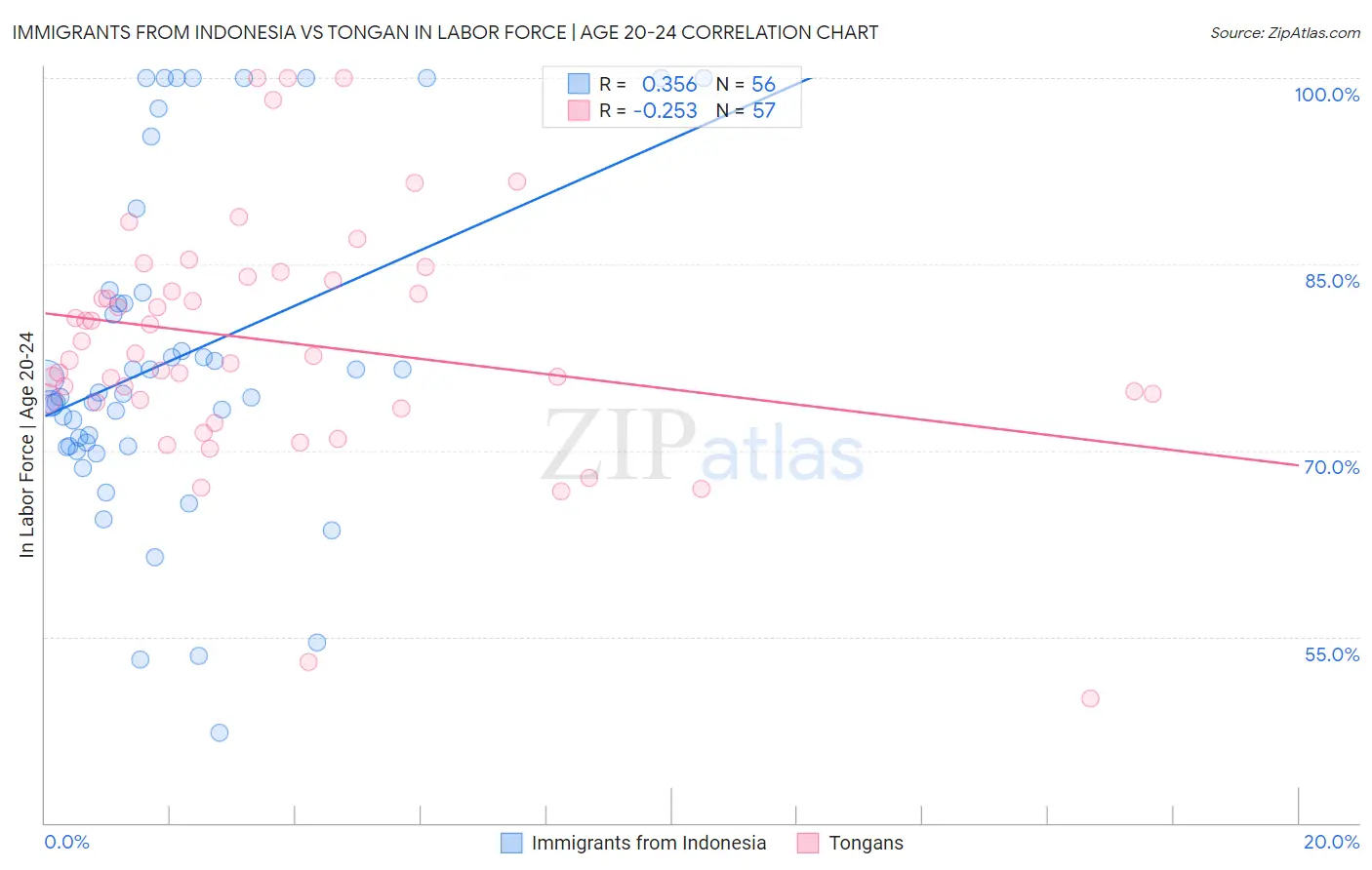 Immigrants from Indonesia vs Tongan In Labor Force | Age 20-24