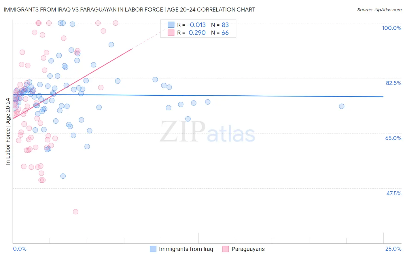 Immigrants from Iraq vs Paraguayan In Labor Force | Age 20-24