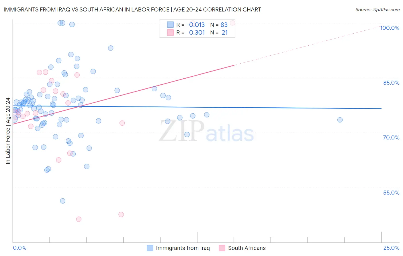 Immigrants from Iraq vs South African In Labor Force | Age 20-24