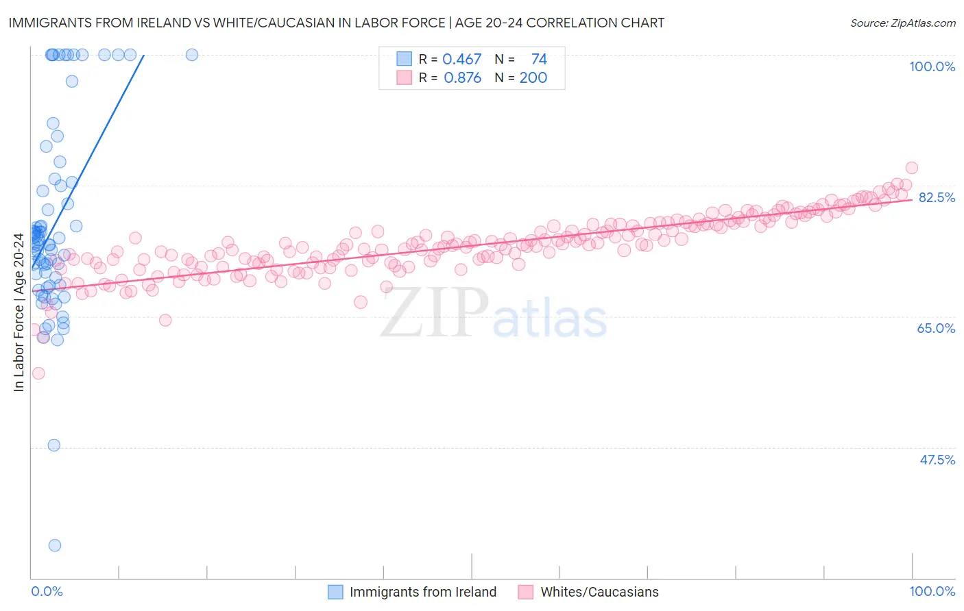 Immigrants from Ireland vs White/Caucasian In Labor Force | Age 20-24