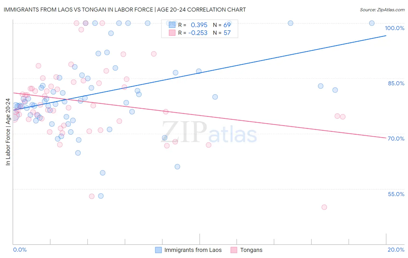 Immigrants from Laos vs Tongan In Labor Force | Age 20-24