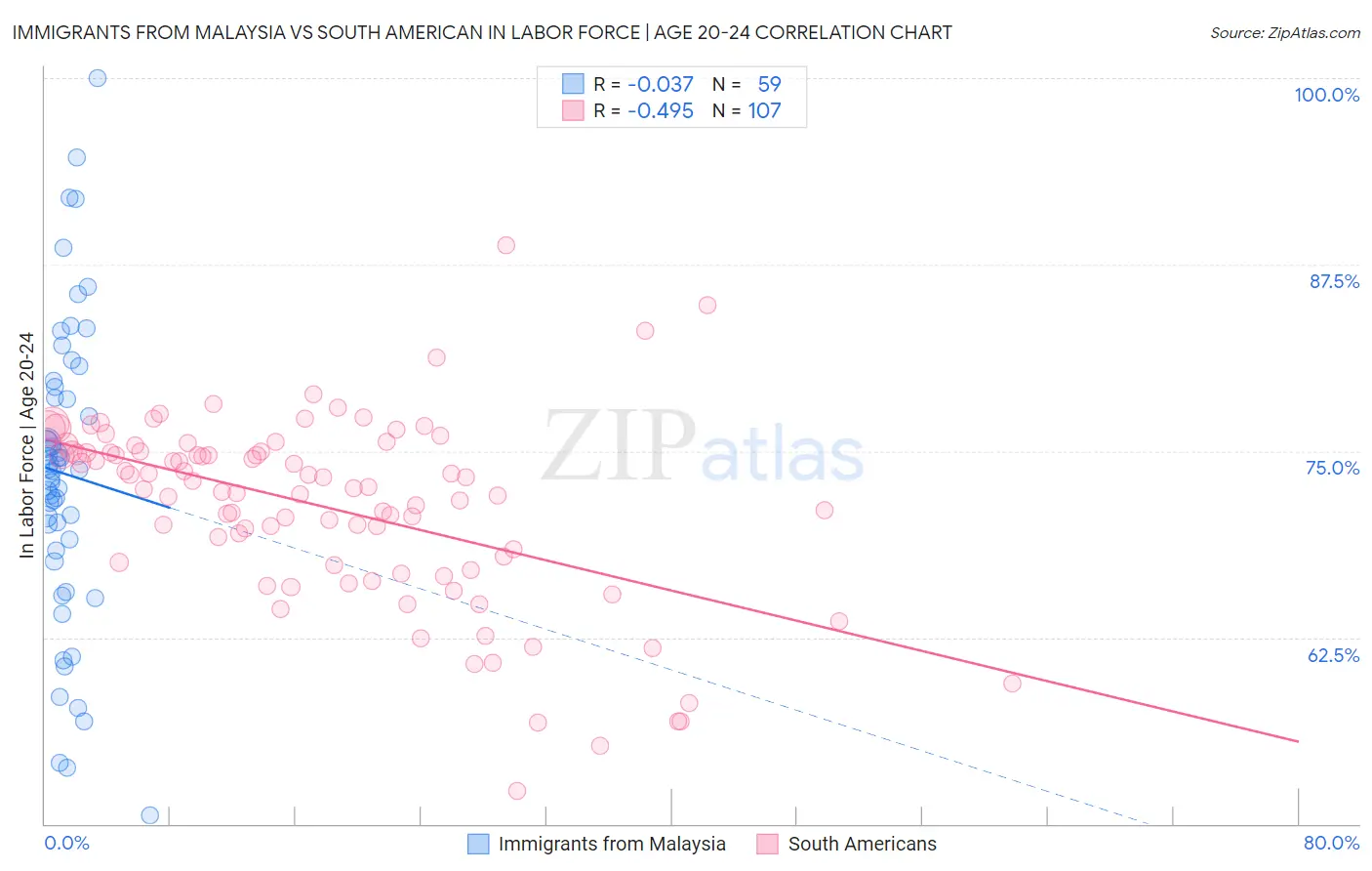 Immigrants from Malaysia vs South American In Labor Force | Age 20-24