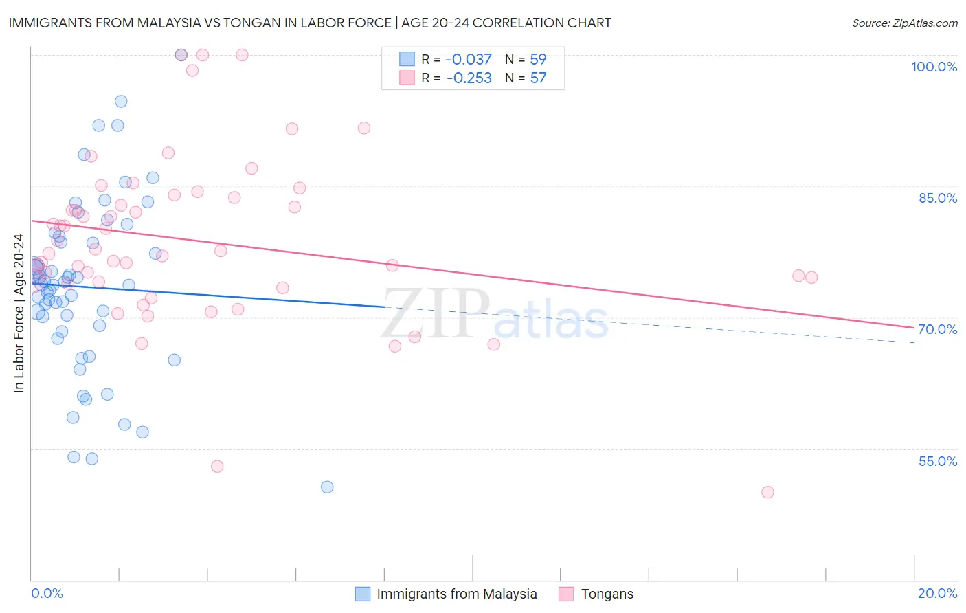 Immigrants from Malaysia vs Tongan In Labor Force | Age 20-24