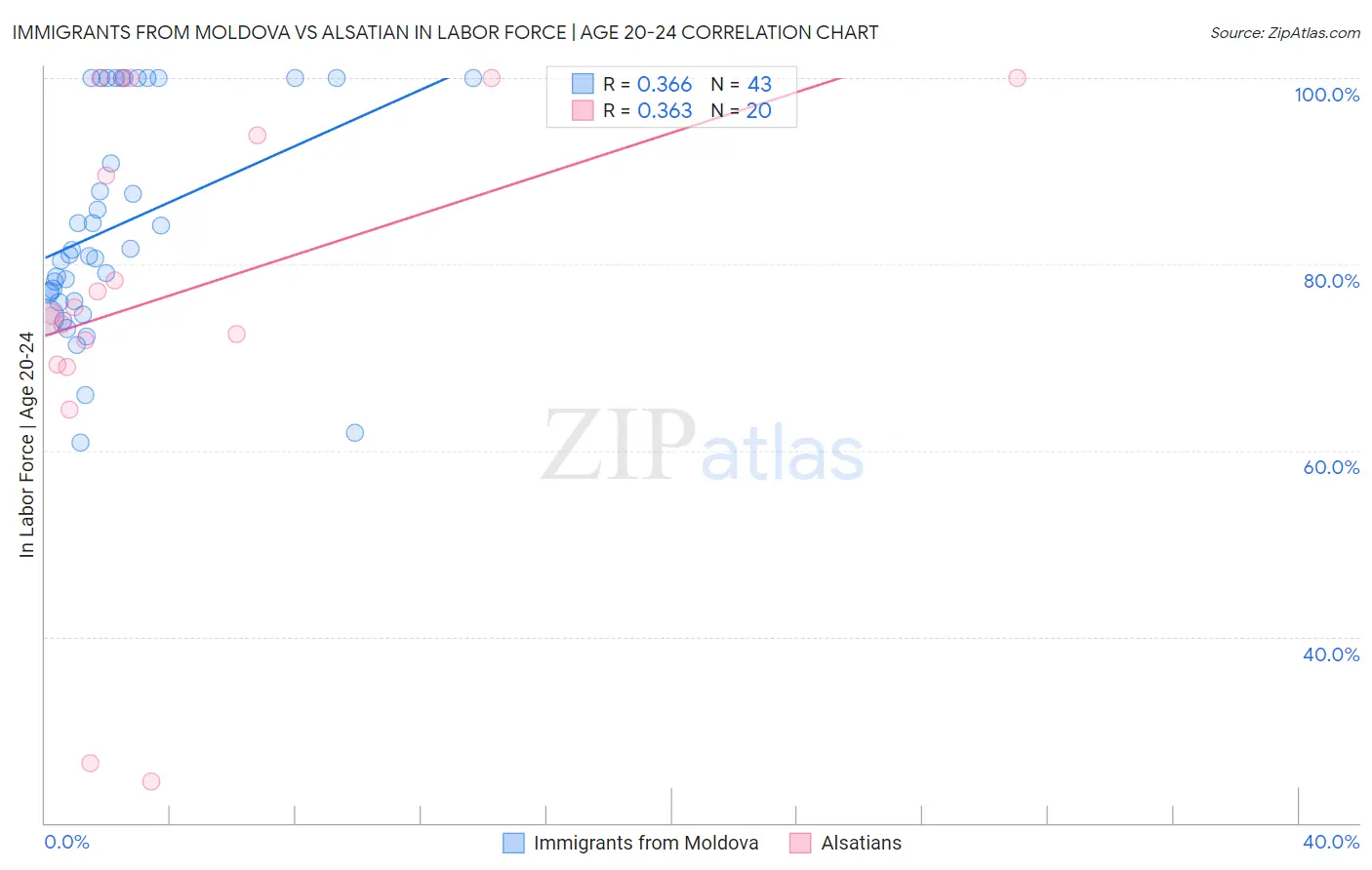 Immigrants from Moldova vs Alsatian In Labor Force | Age 20-24