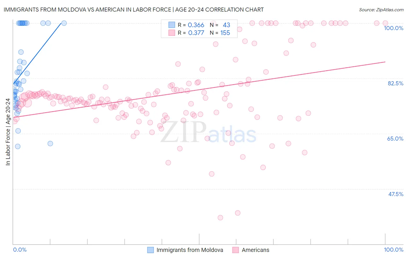 Immigrants from Moldova vs American In Labor Force | Age 20-24