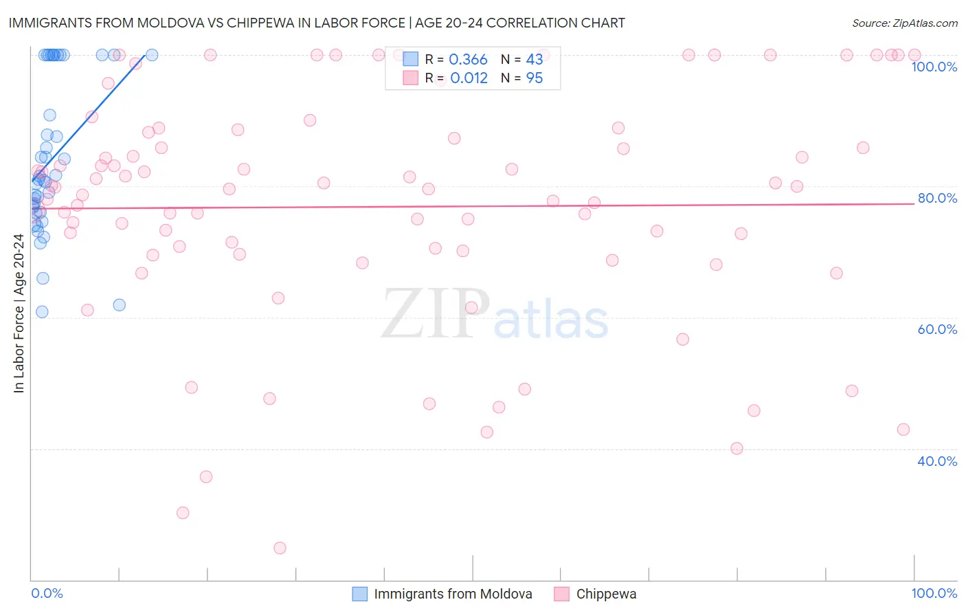 Immigrants from Moldova vs Chippewa In Labor Force | Age 20-24
