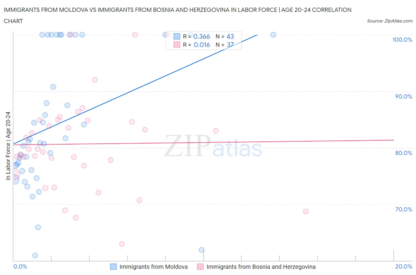 Immigrants from Moldova vs Immigrants from Bosnia and Herzegovina In Labor Force | Age 20-24
