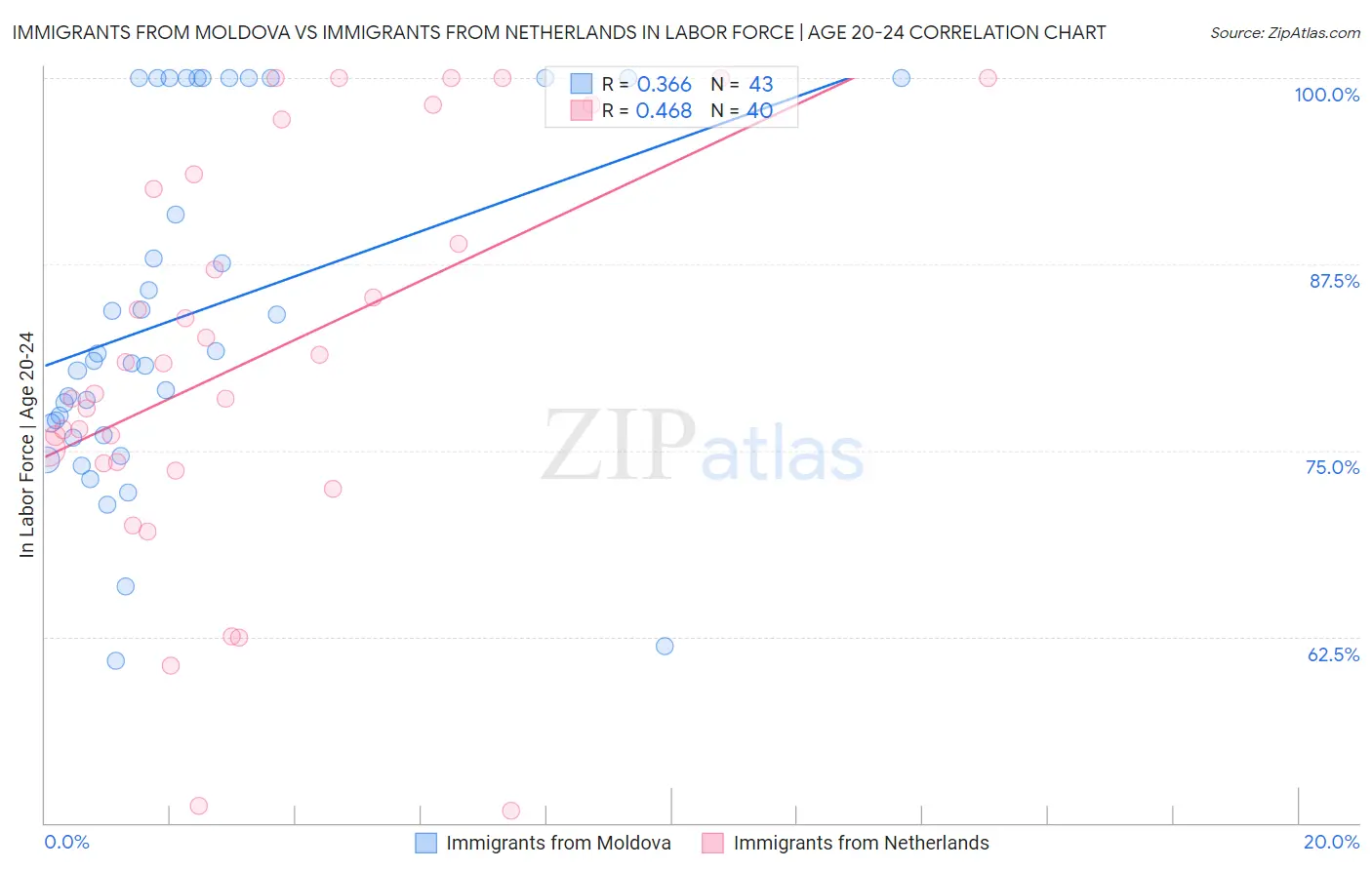 Immigrants from Moldova vs Immigrants from Netherlands In Labor Force | Age 20-24
