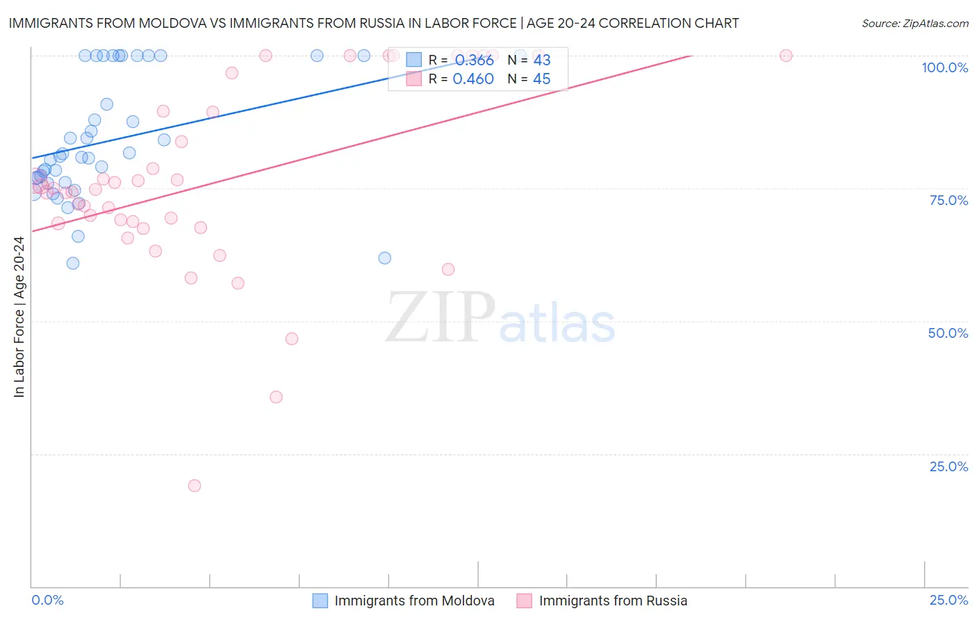 Immigrants from Moldova vs Immigrants from Russia In Labor Force | Age 20-24