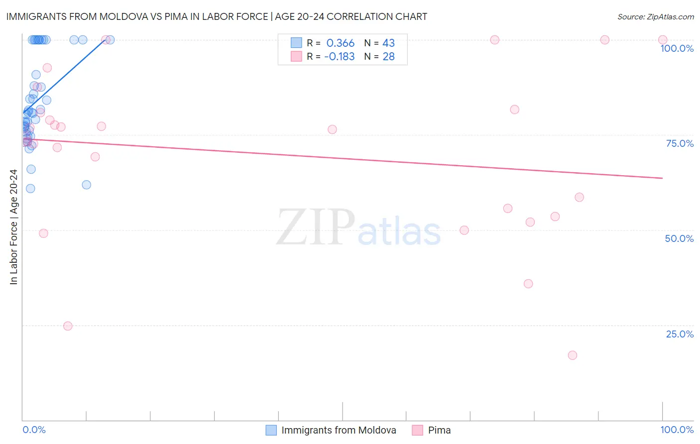 Immigrants from Moldova vs Pima In Labor Force | Age 20-24