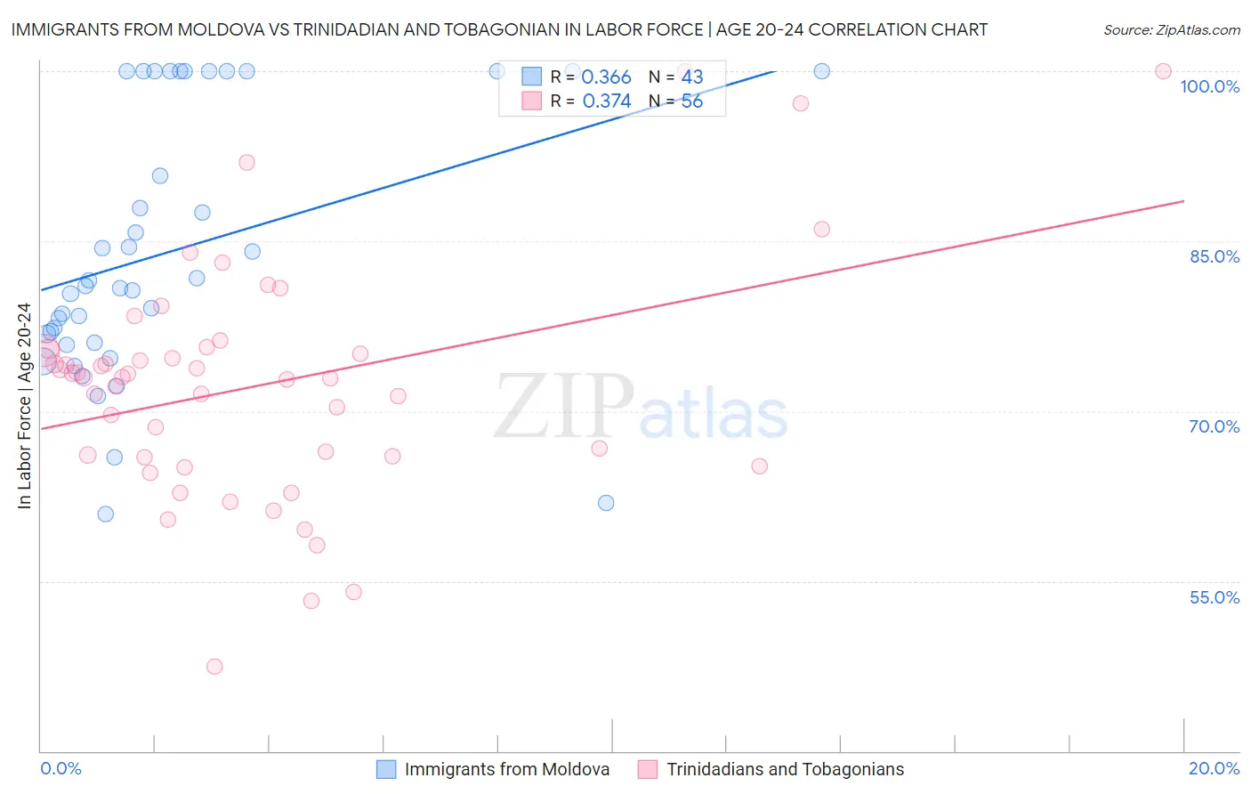 Immigrants from Moldova vs Trinidadian and Tobagonian In Labor Force | Age 20-24