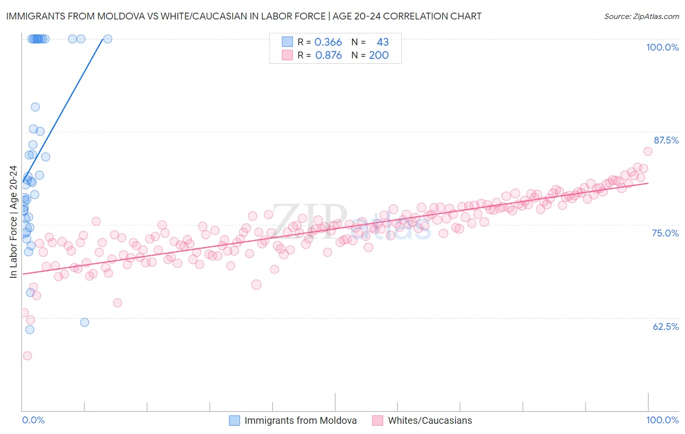 Immigrants from Moldova vs White/Caucasian In Labor Force | Age 20-24