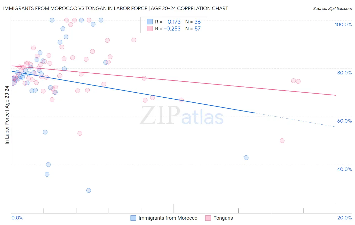 Immigrants from Morocco vs Tongan In Labor Force | Age 20-24