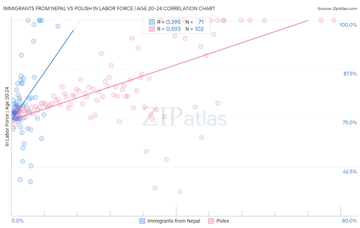 Immigrants from Nepal vs Polish In Labor Force | Age 20-24