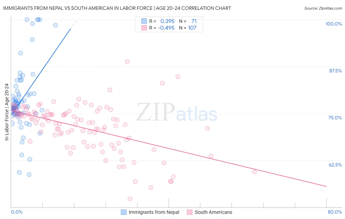 Immigrants from Nepal vs South American In Labor Force | Age 20-24