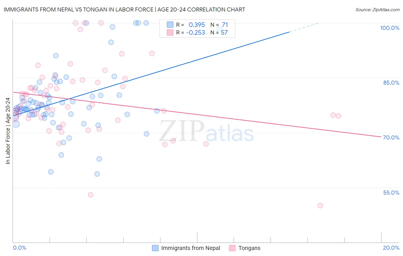 Immigrants from Nepal vs Tongan In Labor Force | Age 20-24