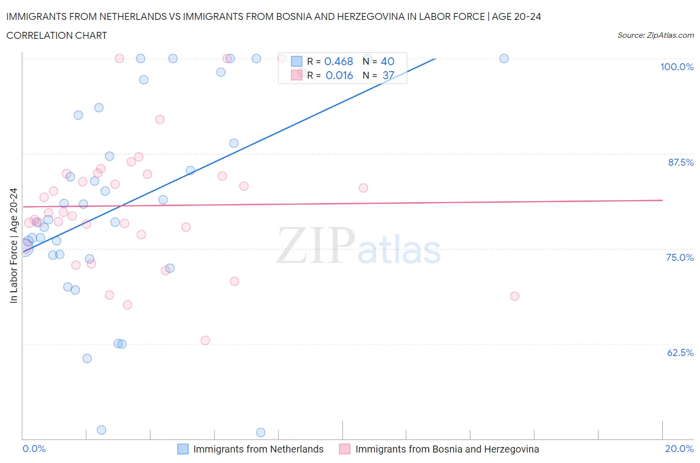 Immigrants from Netherlands vs Immigrants from Bosnia and Herzegovina In Labor Force | Age 20-24