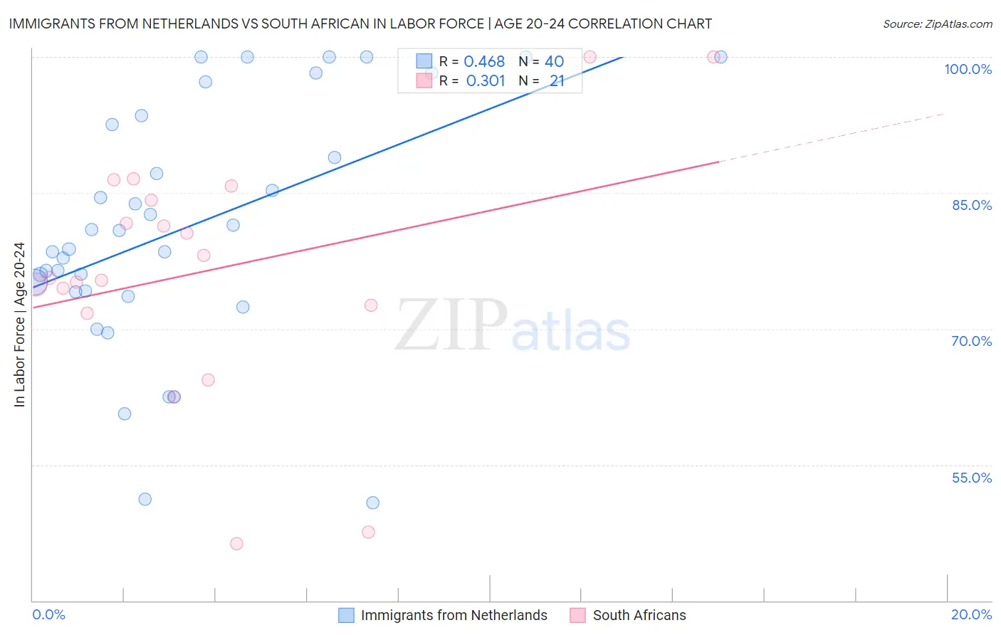 Immigrants from Netherlands vs South African In Labor Force | Age 20-24