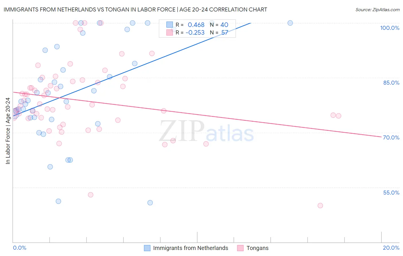 Immigrants from Netherlands vs Tongan In Labor Force | Age 20-24