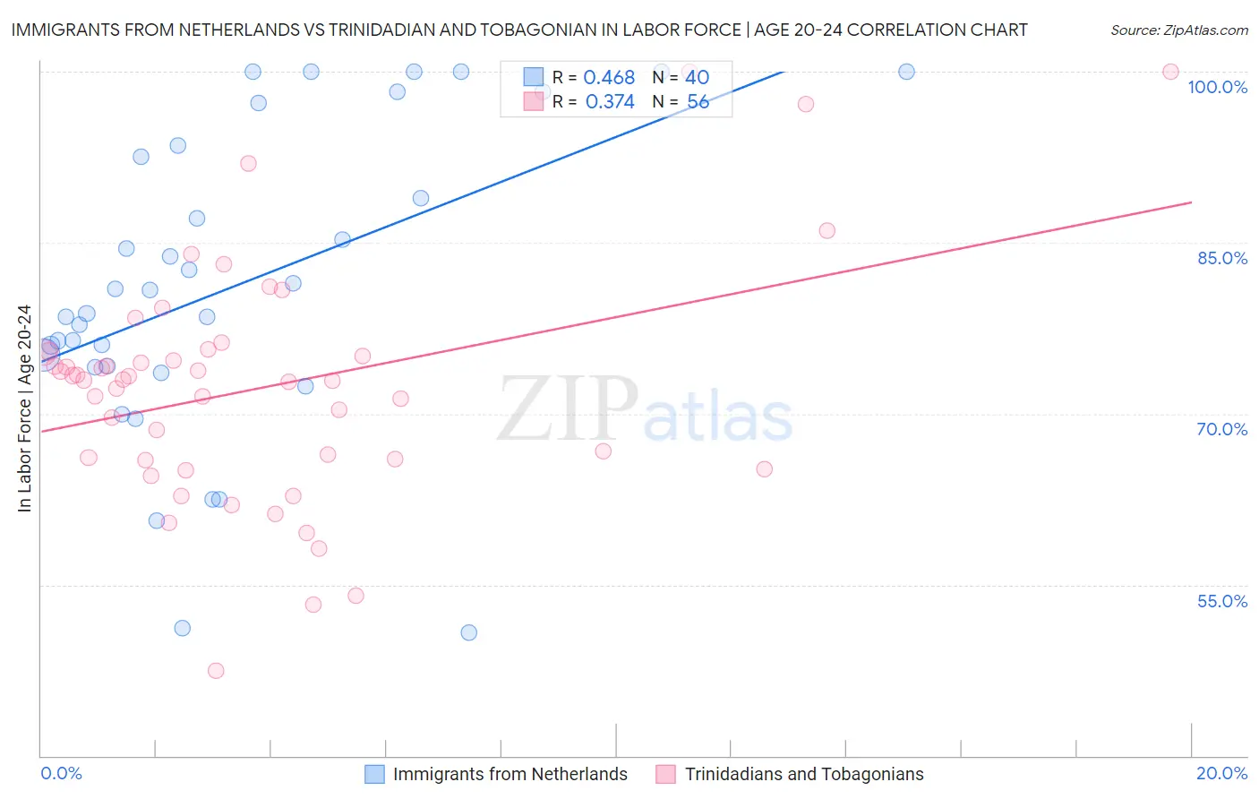 Immigrants from Netherlands vs Trinidadian and Tobagonian In Labor Force | Age 20-24