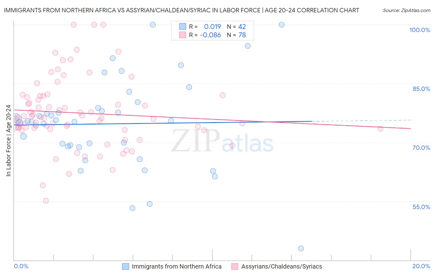 Immigrants from Northern Africa vs Assyrian/Chaldean/Syriac In Labor Force | Age 20-24