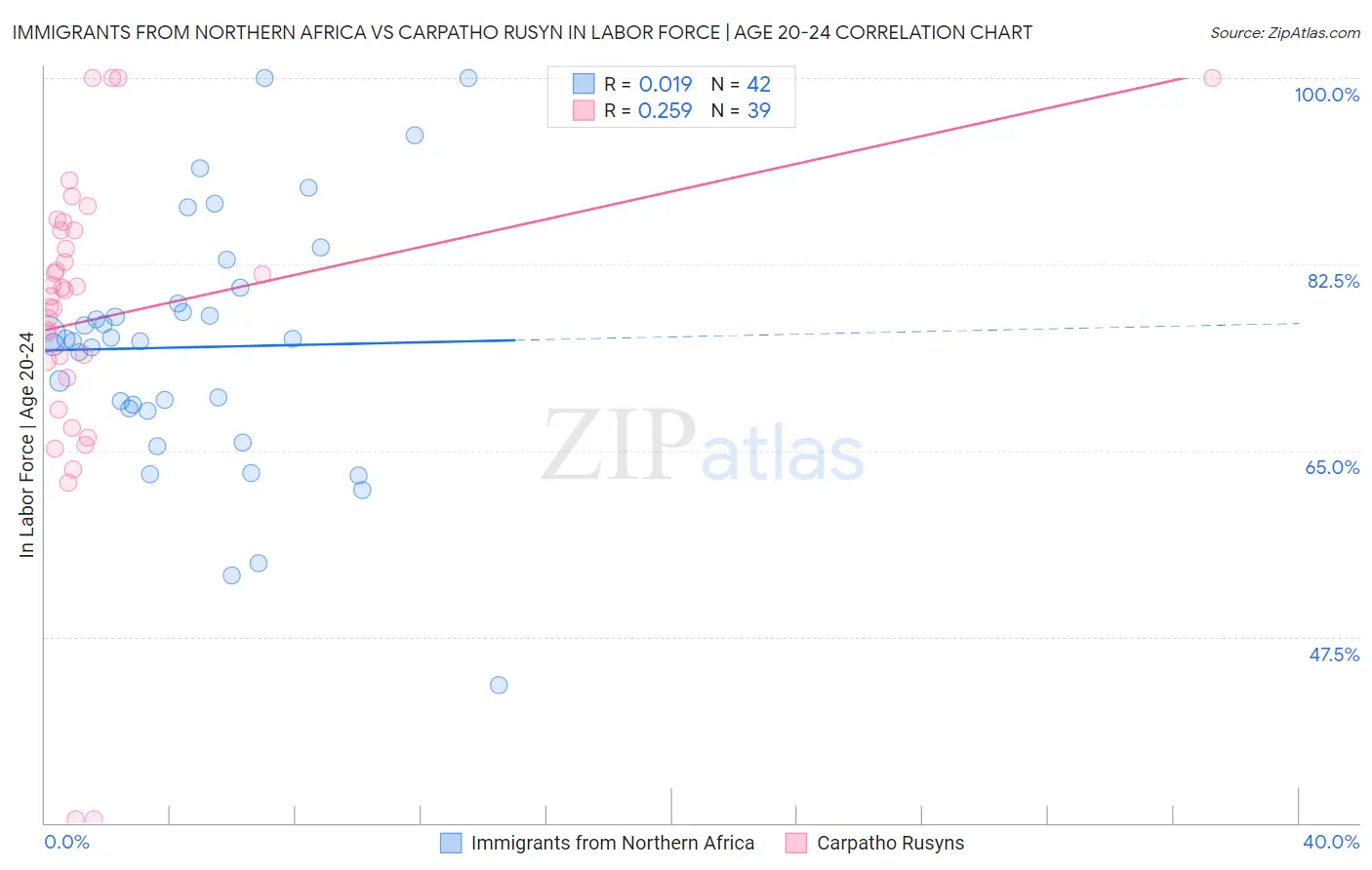 Immigrants from Northern Africa vs Carpatho Rusyn In Labor Force | Age 20-24