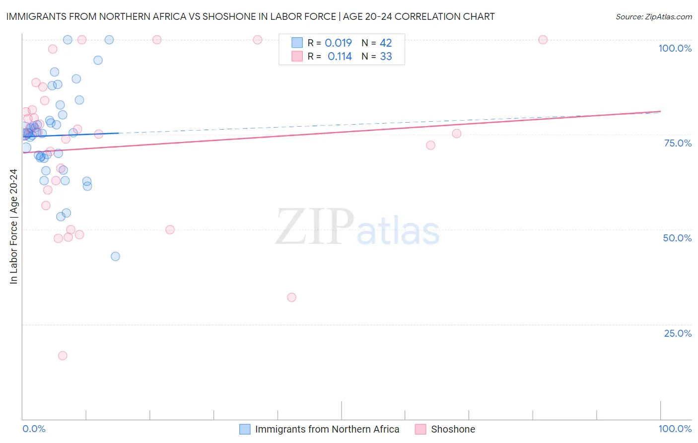 Immigrants from Northern Africa vs Shoshone In Labor Force | Age 20-24