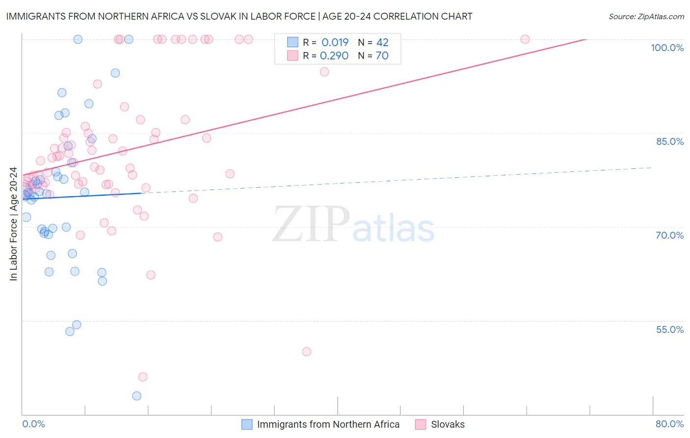 Immigrants from Northern Africa vs Slovak In Labor Force | Age 20-24