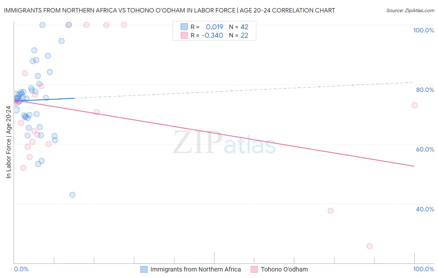 Immigrants from Northern Africa vs Tohono O'odham In Labor Force | Age 20-24