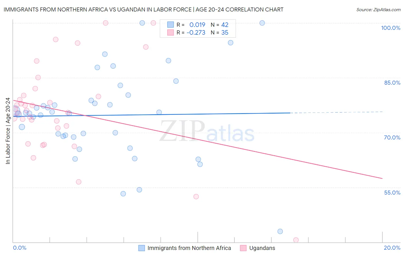 Immigrants from Northern Africa vs Ugandan In Labor Force | Age 20-24