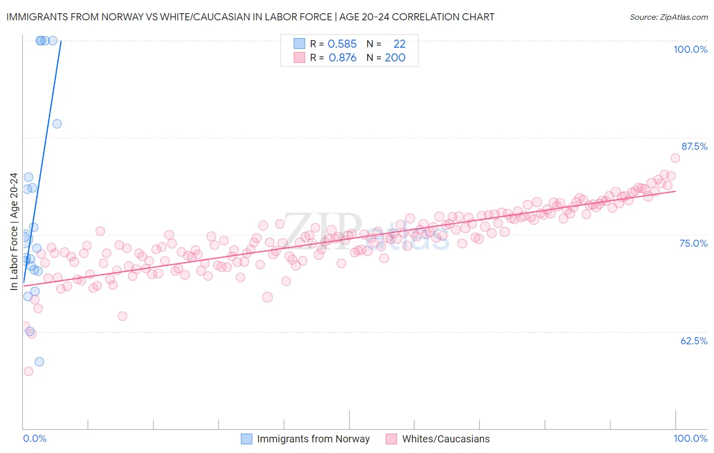 Immigrants from Norway vs White/Caucasian In Labor Force | Age 20-24