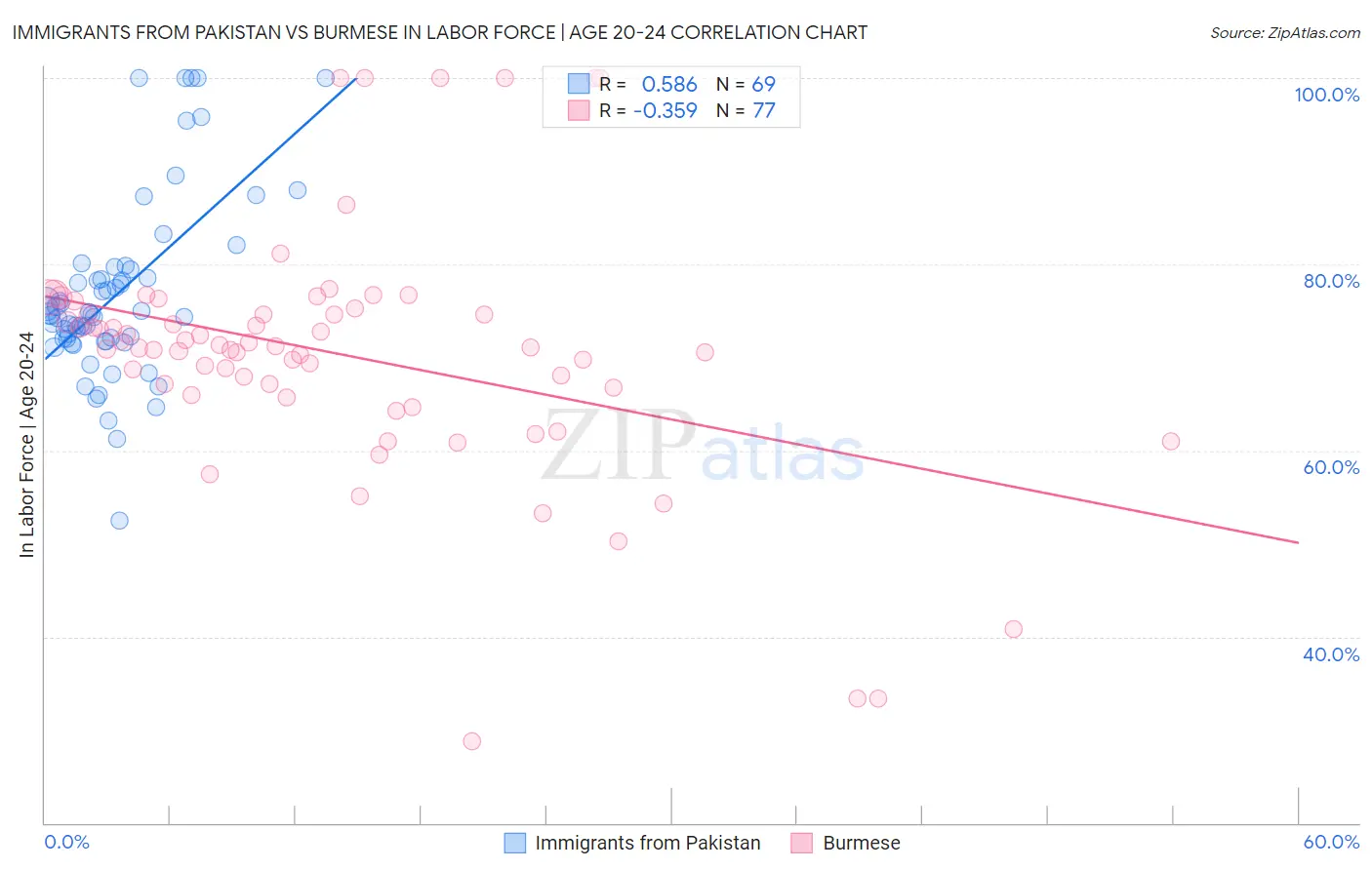 Immigrants from Pakistan vs Burmese In Labor Force | Age 20-24