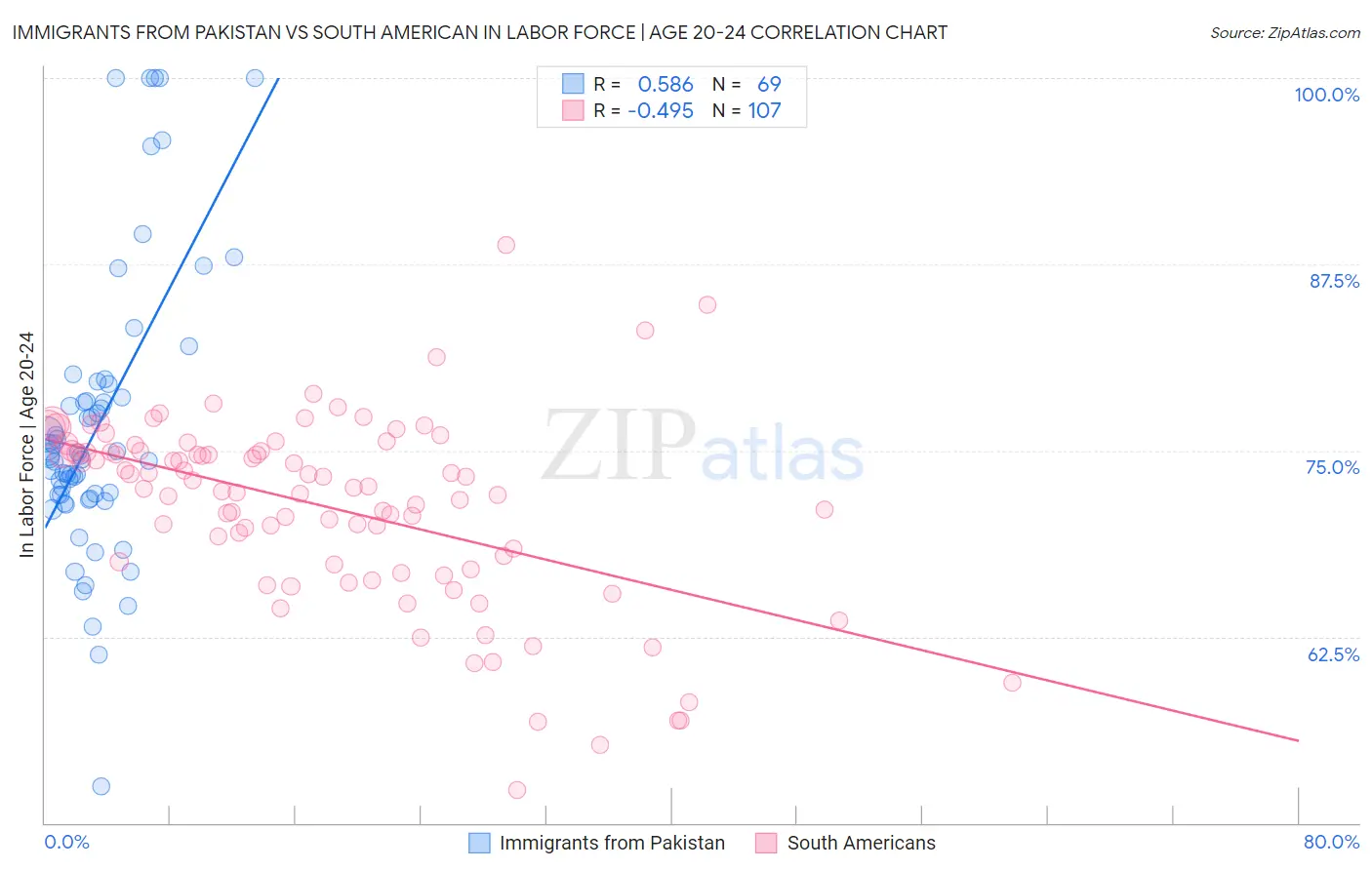 Immigrants from Pakistan vs South American In Labor Force | Age 20-24