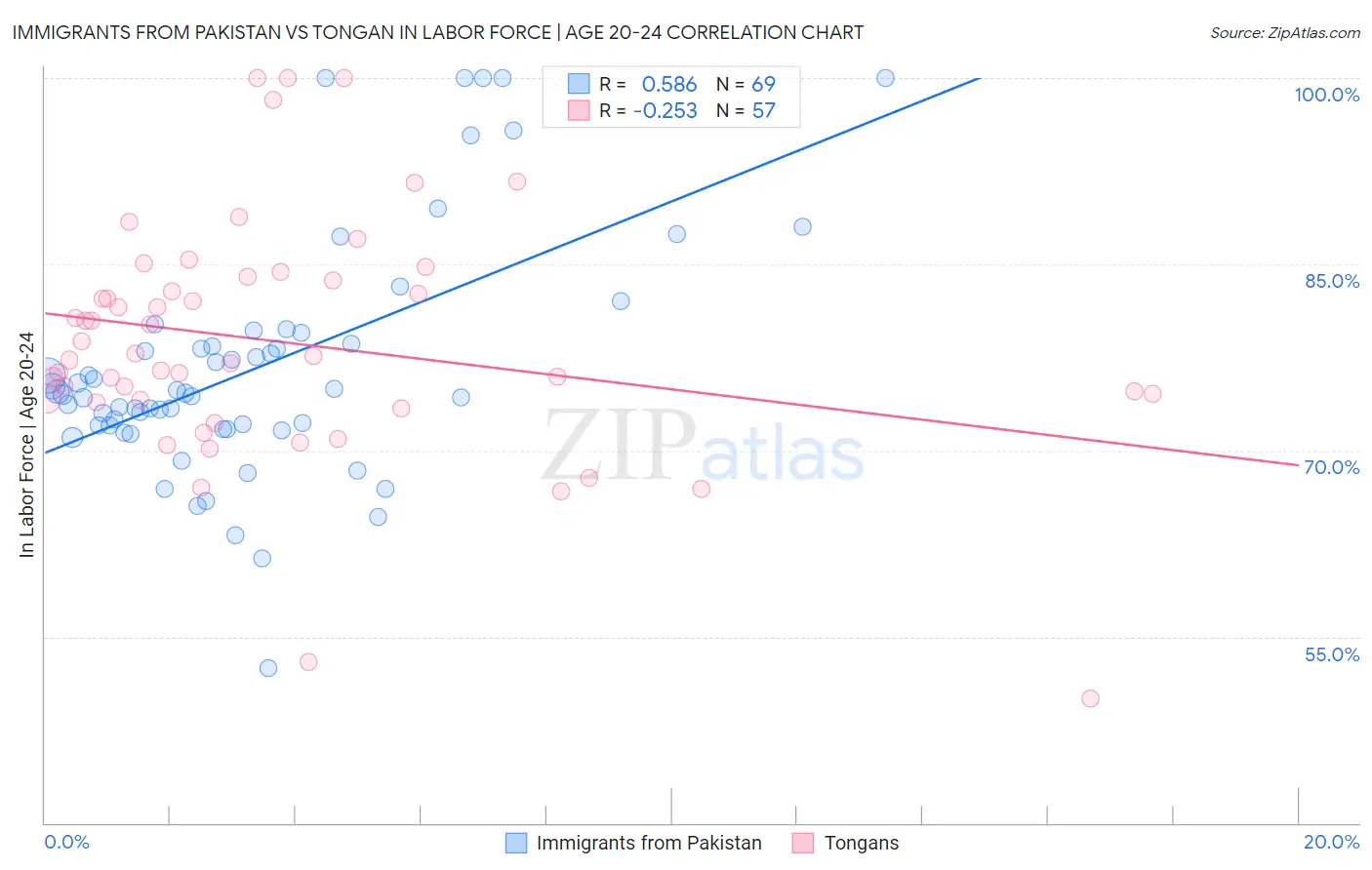 Immigrants from Pakistan vs Tongan In Labor Force | Age 20-24