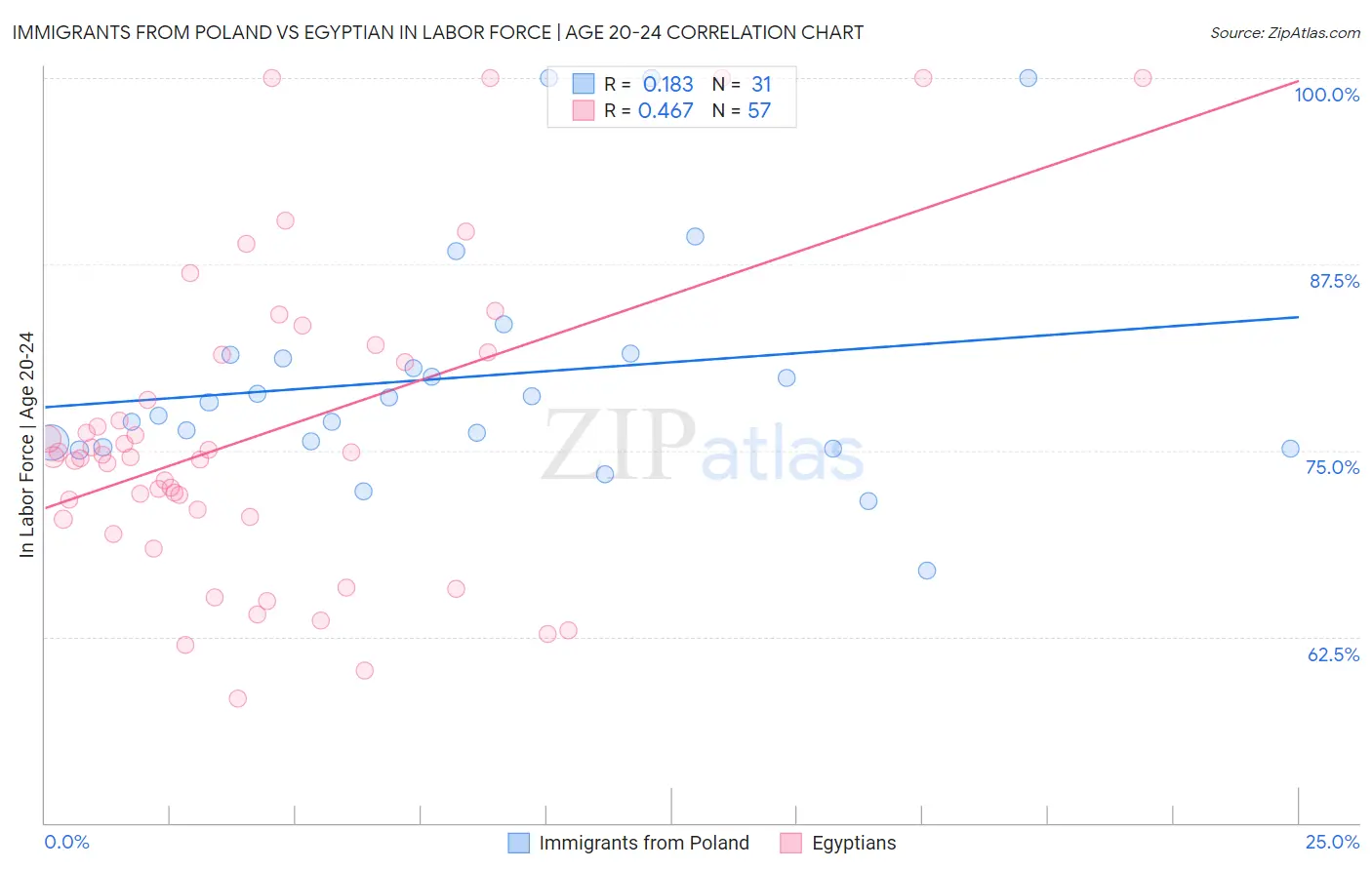 Immigrants from Poland vs Egyptian In Labor Force | Age 20-24