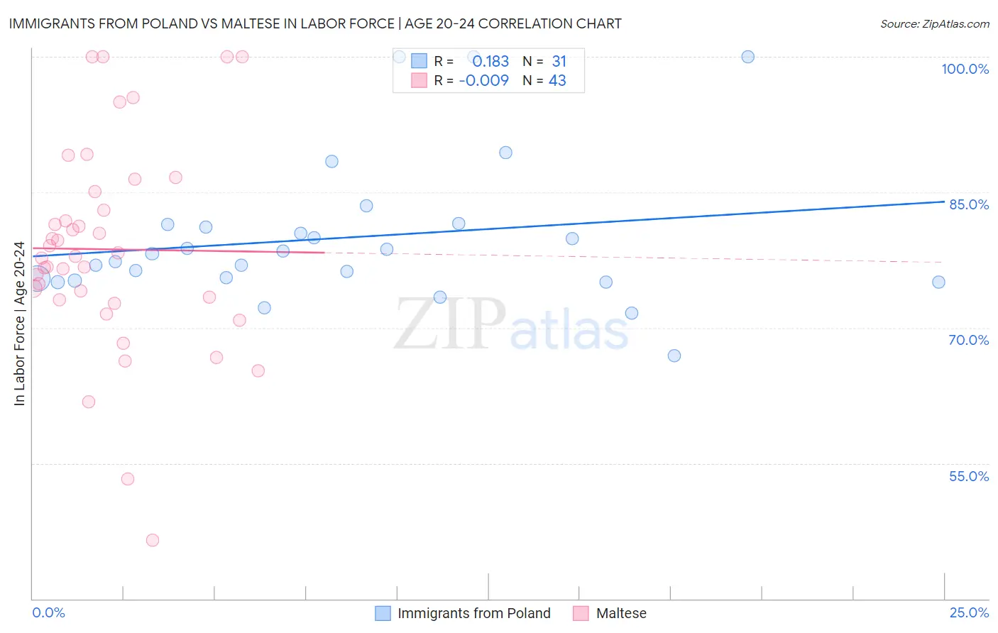 Immigrants from Poland vs Maltese In Labor Force | Age 20-24