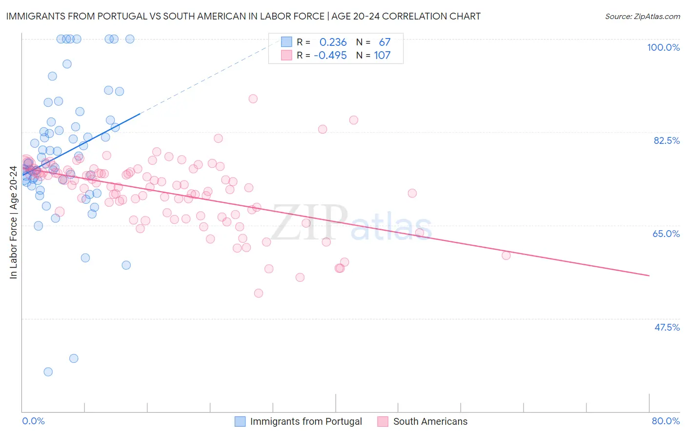 Immigrants from Portugal vs South American In Labor Force | Age 20-24