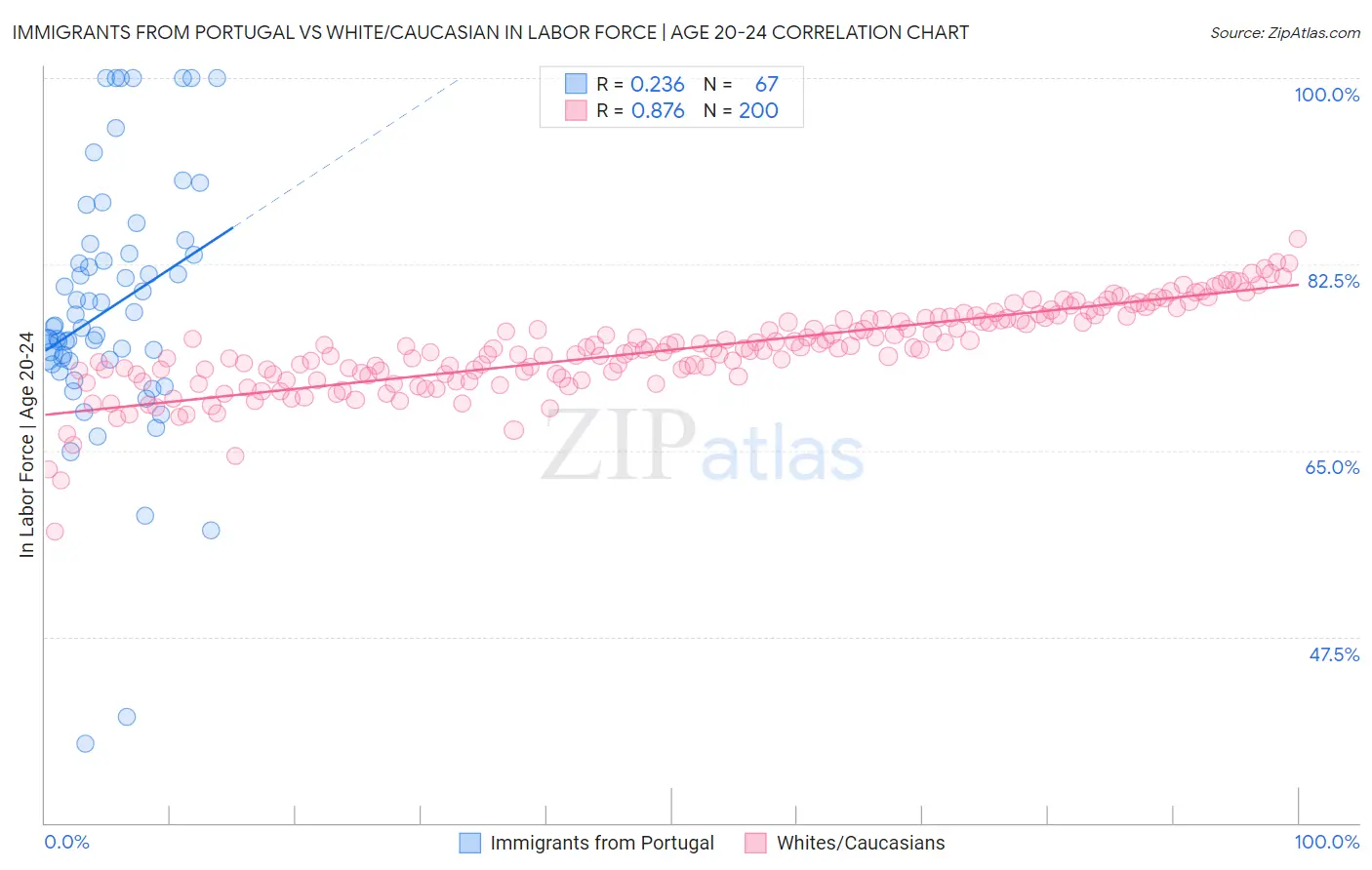 Immigrants from Portugal vs White/Caucasian In Labor Force | Age 20-24