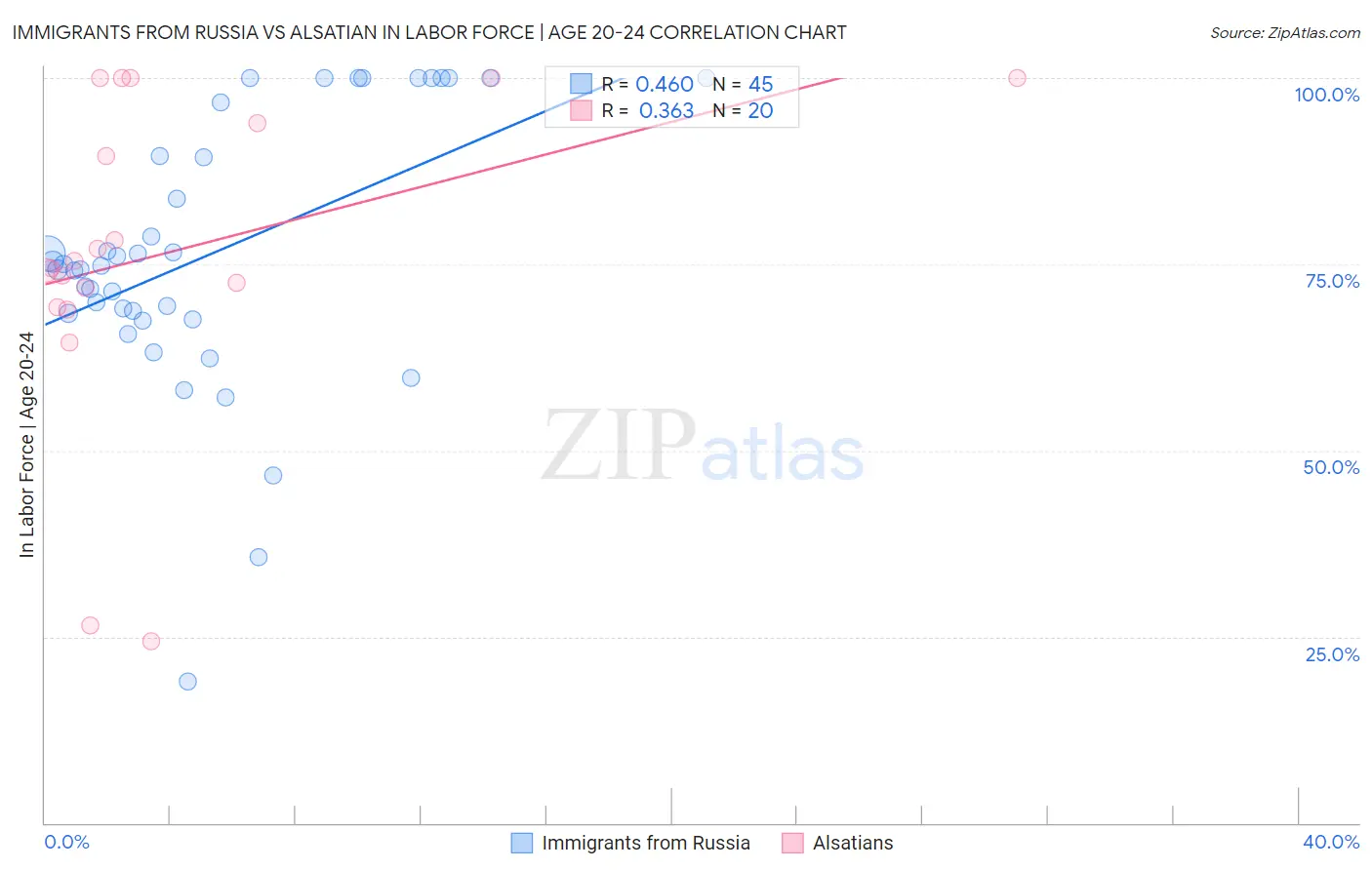 Immigrants from Russia vs Alsatian In Labor Force | Age 20-24