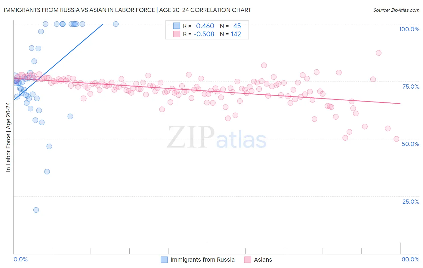 Immigrants from Russia vs Asian In Labor Force | Age 20-24