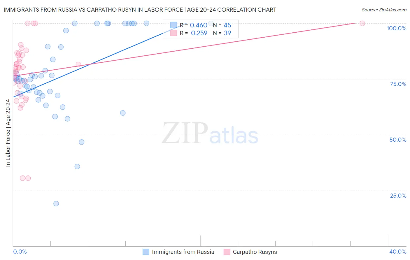 Immigrants from Russia vs Carpatho Rusyn In Labor Force | Age 20-24