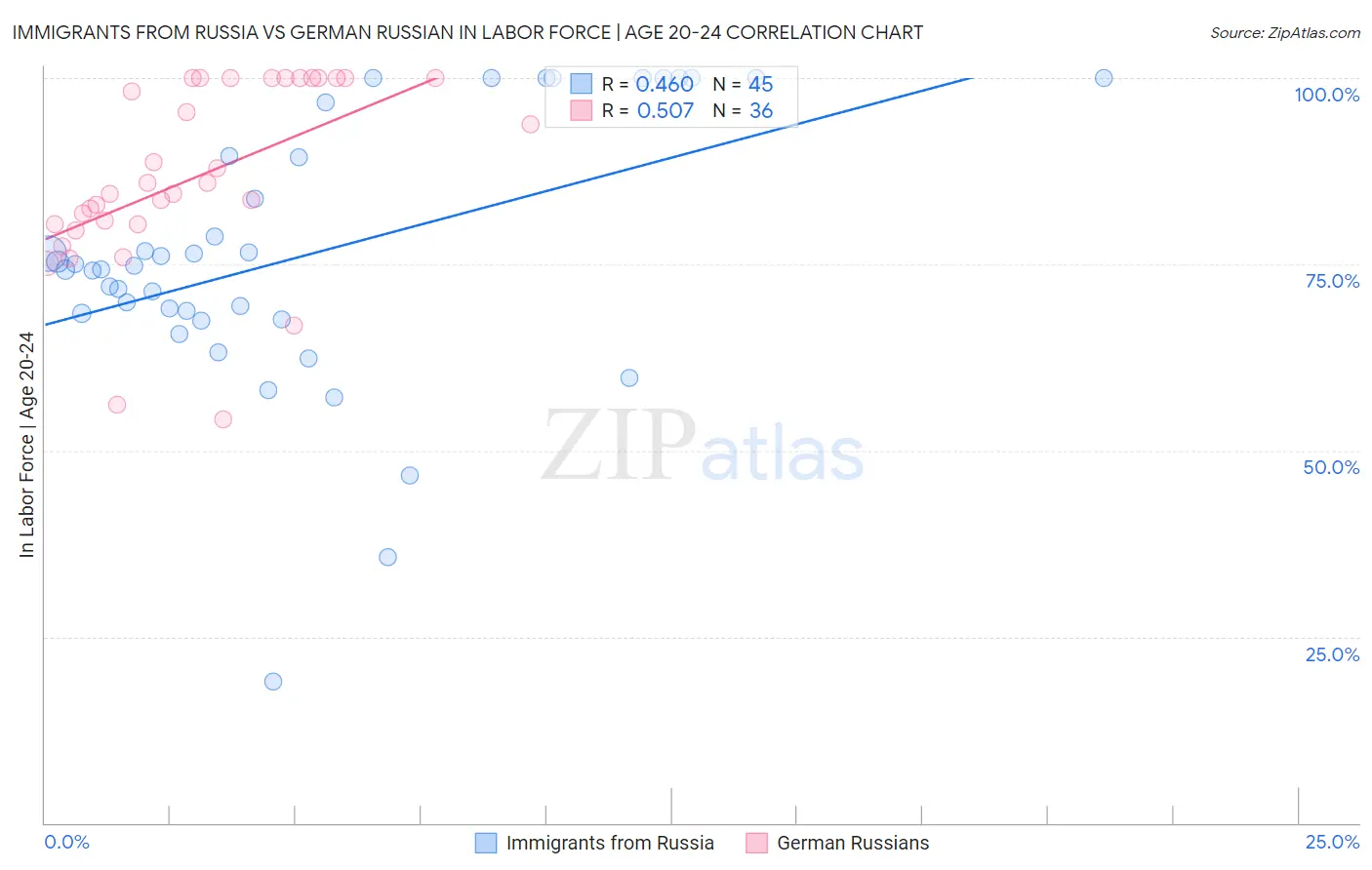 Immigrants from Russia vs German Russian In Labor Force | Age 20-24