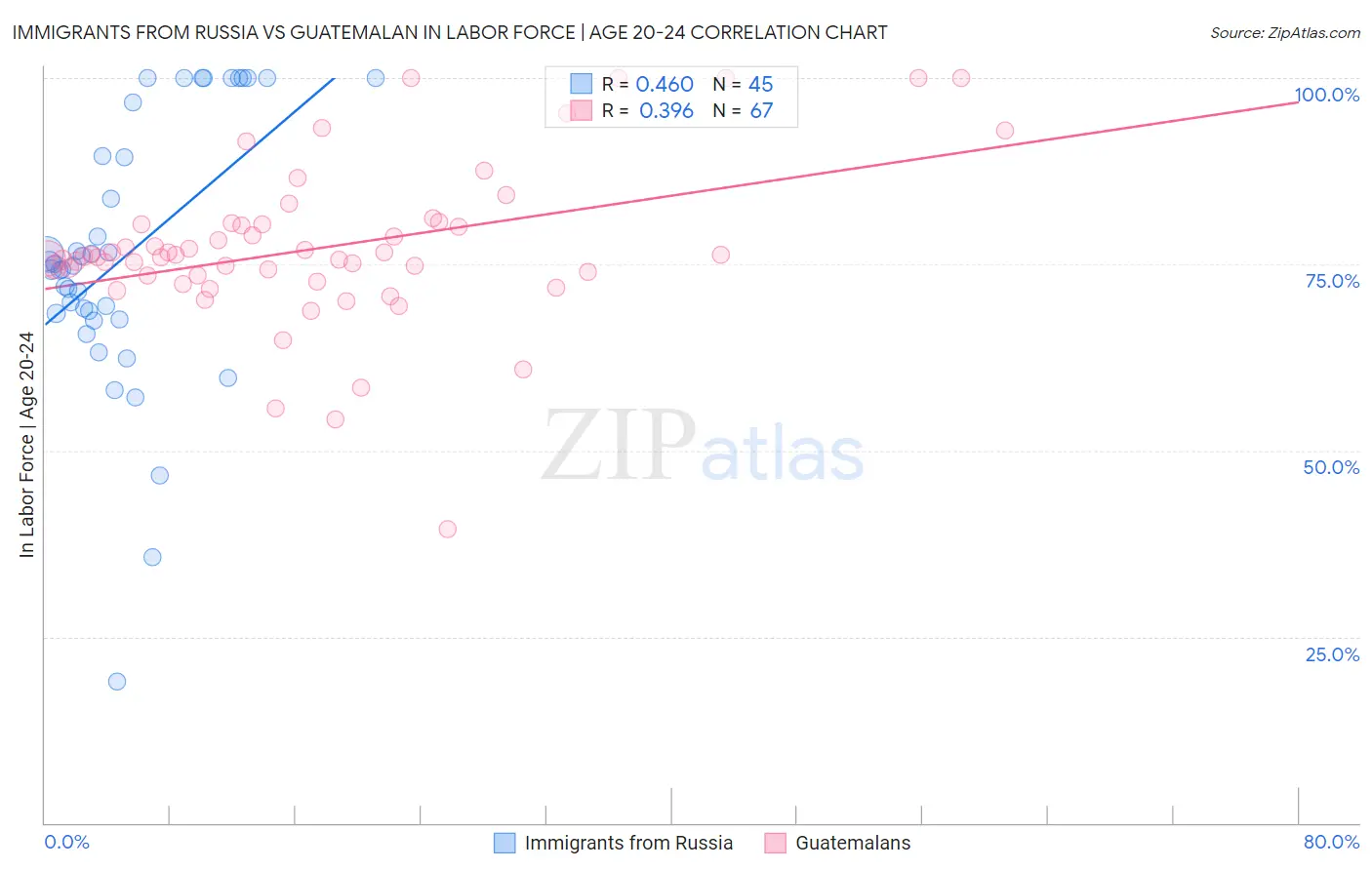 Immigrants from Russia vs Guatemalan In Labor Force | Age 20-24