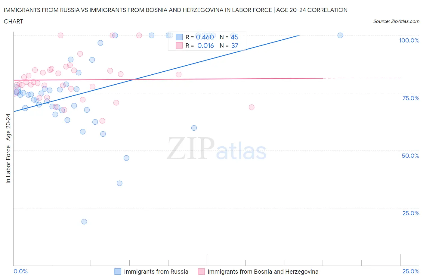 Immigrants from Russia vs Immigrants from Bosnia and Herzegovina In Labor Force | Age 20-24