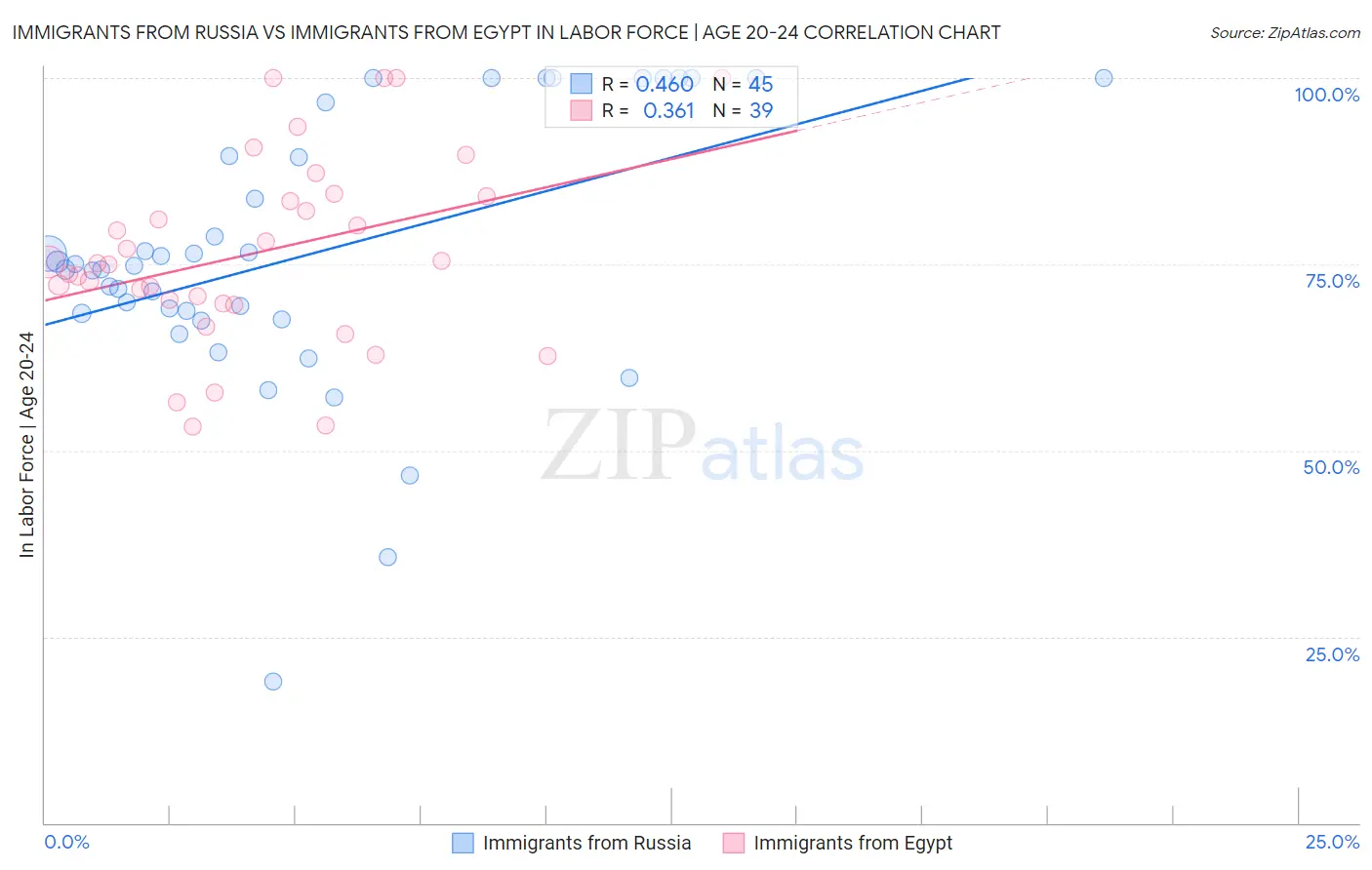 Immigrants from Russia vs Immigrants from Egypt In Labor Force | Age 20-24