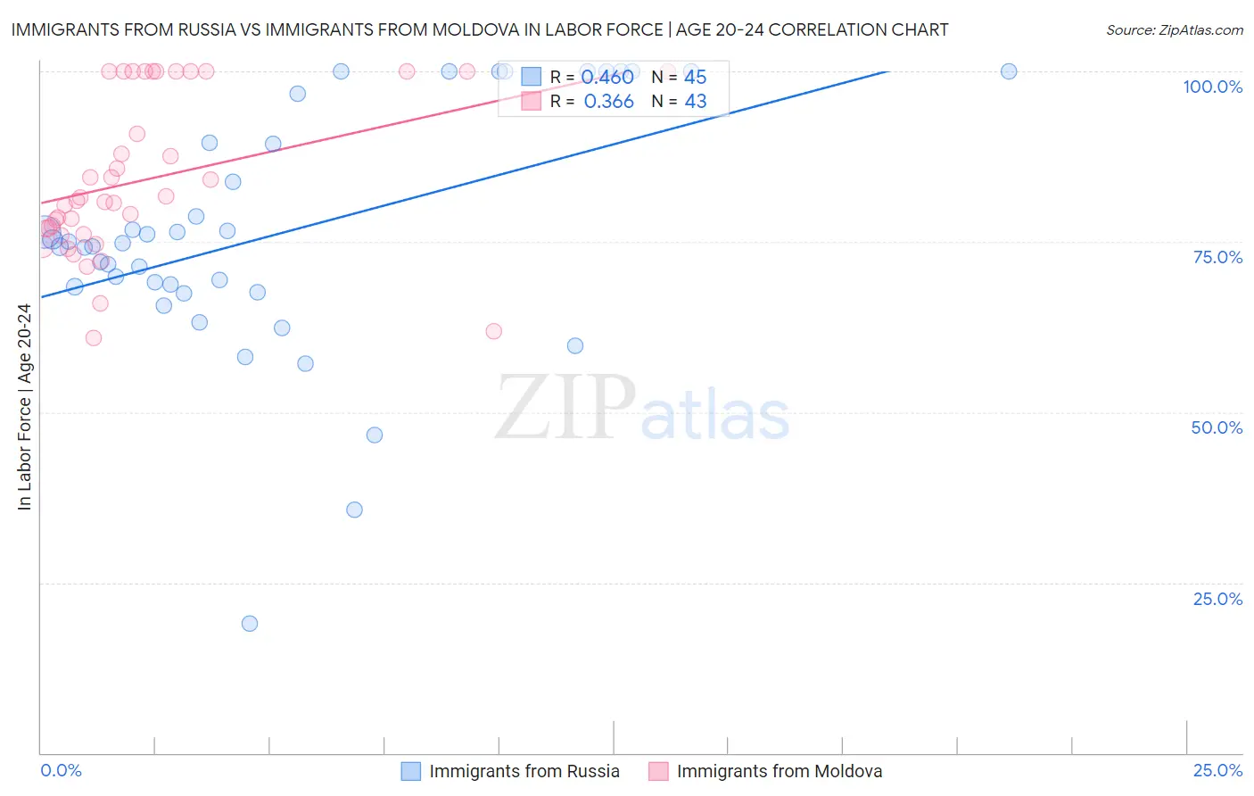 Immigrants from Russia vs Immigrants from Moldova In Labor Force | Age 20-24